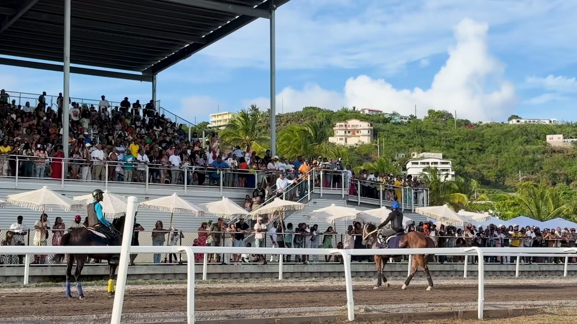St. Thomas Horse Racing