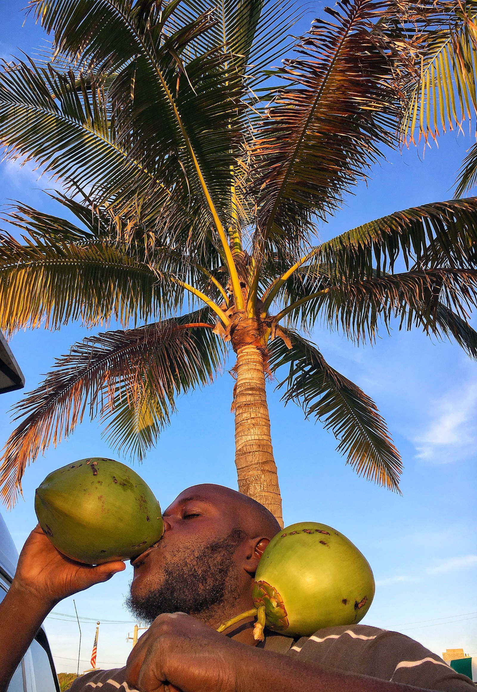 A man enjoying fresh coconut water under a Caribbean palm tree