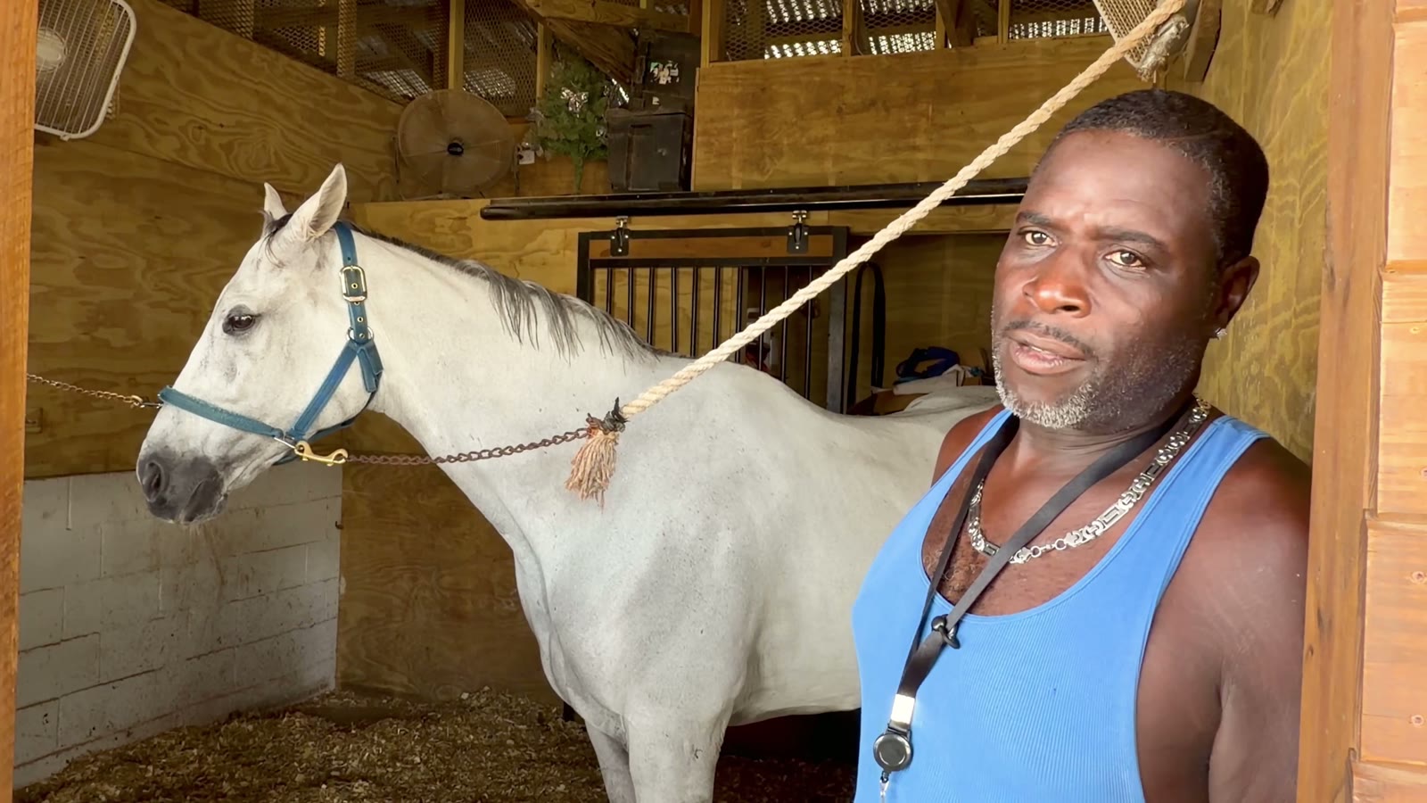 Trainer preparing a racehorse